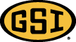 GSI logo